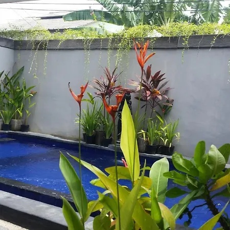 Star Bali Guest House